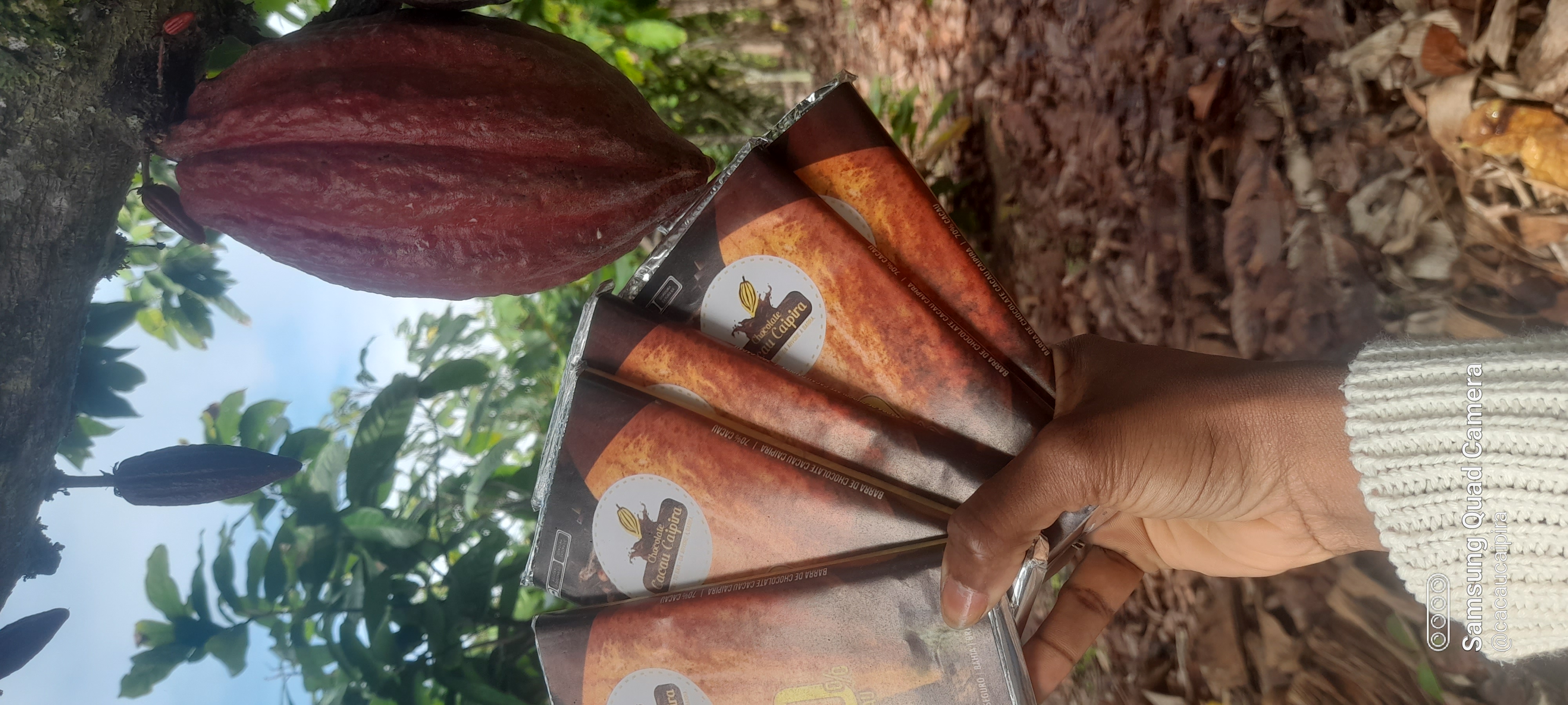 Barra de chocolate 70% cacau